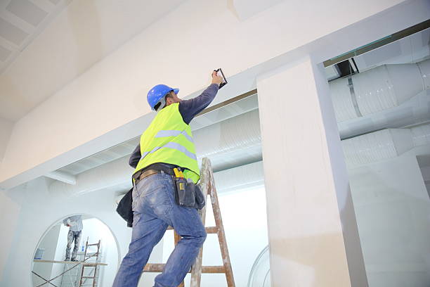 Best Water-Damaged Drywall Repair  in Century, FL